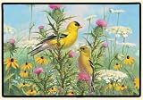New Fiddler's Elbow Goldfinches Doormat 100% Polyester Face Permanently Dye Printed Fade Resistant