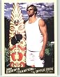 Laird Hamilton - Surfer - Surfing - 2009 Upper Deck Goodwin Champions Baseball Card # 129 - MLB Trading Card Shipped In Protective Case!