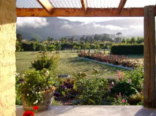 BEST Gardening Guide - A Guide to Home Vegetable Gardening - Discovering the joy of growing your own vegetables and fruit