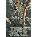 Wisdom and Curriculum: Christian Schooling After Postmodernity