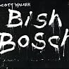 Image of album by Scott Walker