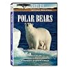 Nature: Polar Bears