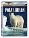 Nature: Polar Bears