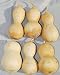 Dried Decorative Gourds - Large