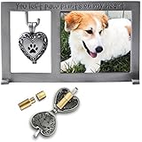 Cathedral Art PF404 Pet Memorial Frame with Vial For Ashes, 5-1/4 by 3-Inch