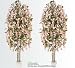 TWO 6.5' Wisteria Real Wood Trunks Artificial Trees each with approx. 105 flower clusters _Coral