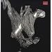 Self Preserved While the Bodie [Vinyl LP]