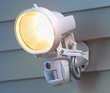 Stealth Cam® Patroller Security Light / Camera
