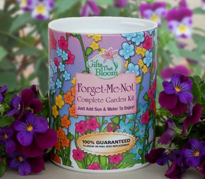 Forget-me-not Garden Gourmet Food Gift Basket