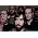 Vignette de The Album Leaf
