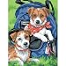 Dimensions Learn To Paint! Paint By Number Kit (9 X 12 Inches)
