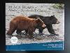 Black Bears of Alaska's Mendenhall Glacier