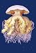 Astro-Jellyfish 12x18 Giclee on canvas - Prints - 17013-1CG12