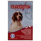 Advantage - Red Box for Dogs 21-55 pounds - 6 pack