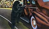 Bear Check, Great Smokey Mountains Natlional Park - Fine-Art Gicl??e Photographic Print - 8