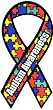 Large Autism Awareness Magnet 4"x 8"