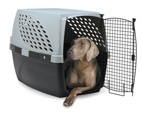 Childrens Toyshop  Pet Supplies : Firstrax 36-Inch Pet Suites Multi-Use Pet Kennel
