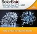 SolarBrite 50 LED Super White Solar Fairy String Lights