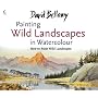 David Bellamy's Painting Wild Landscapes in Watercolour