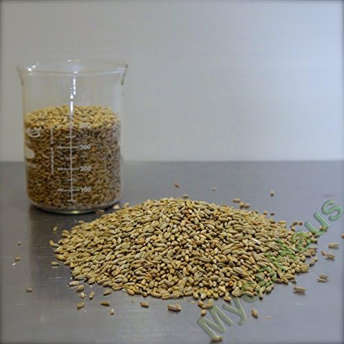 25 pounds rye berries whole grain grass seed for bread baking flour beer making