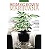 Homegrown Marijuana: Create a Hydroponic Growing System in Your Own Home