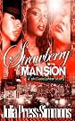 Strawberry Mansion: A Philadelphia Story