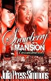 Strawberry Mansion: A Philadelphia Story