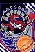 NBA Vertical Toronto Raptors Flag / Banner