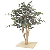 �y�l�H�A���z�~�j�T�U���J�t 60cm