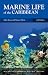 Marine Life of the Caribbean (Macmillan Caribbean Natural History)