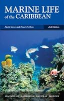 Marine Life of the Caribbean (Macmillan Caribbean Natural History)