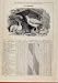 1886 Birds Ptarmigan November Events Diary Old Print