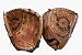 12 1/2 Natural Elite NE125 Infield / Outfield Glove from Easton