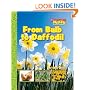 From Bulb to Daffodil (Scholastic News Nonfiction Readers: How Things Grow)