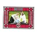 Ohio State Art Glass Horizontal Frame