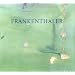 Frankenthaler at Eighty