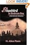 BLUEBIRD IN BODRUM BAY: A Dan Sylvester Adventure