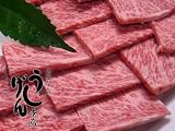 【うし源本店】黒毛和牛A5格付け 焼肉用 霜降りカルビ 下駄