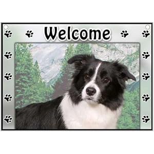Border Collie Welcome Sign