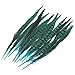 Celine lin 10PCS Natural Pheasant Feathers Pheasant Tails 14-16inch(35-40CM),Lake Blue