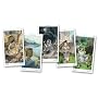 PAGAN TAROT Mini tarot (cards) (Mini Tarot)