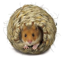 Super Pet Hamster Grassy Roll-a-Nest, Small
