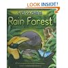 Rain Forest (Kingfisher Voyages)