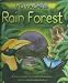 Rain Forest (Kingfisher Voyages)