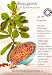 Fenugreek Certified Organic Heirloom Seeds