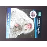 Planet Earth our Extraordinary World ~ Wildlife Wonders Coloring & Activity Book ~ Monkey Cover