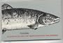 Ocean Ecology of North Pacific Salmonids (Books in Recruitment Fishery Oceanography)