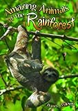 Amazing animals of the rainforest