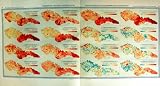 1935 Map Czechoslovakia Population Mortality Vzrust