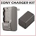 [Sony BCTRP (BC-TRP) InfoLithium® H and P... photo]